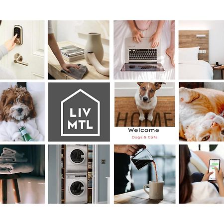 Liv Mtl Mtl Aparthotel Μόντρεαλ Εξωτερικό φωτογραφία